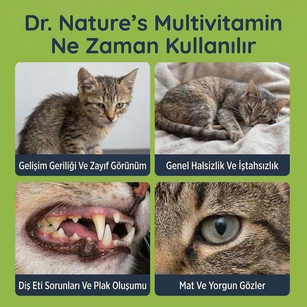 Kedi Multivitamin Likit 50 ml – Taurin ve Omega-3 İçeren Günlük Vitamin Desteği
