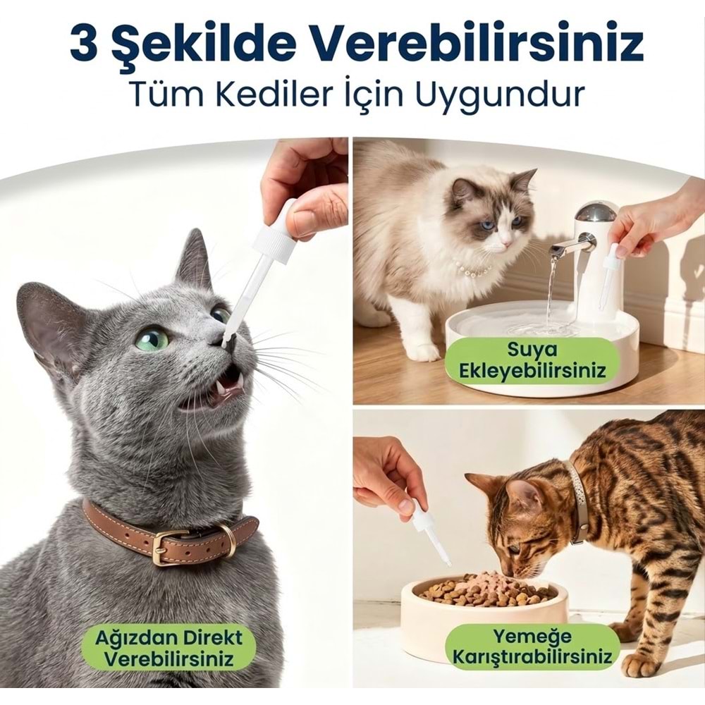 Kedi Multivitamin Likit 50 ml – Taurin ve Omega-3 İçeren Günlük Vitamin Desteği