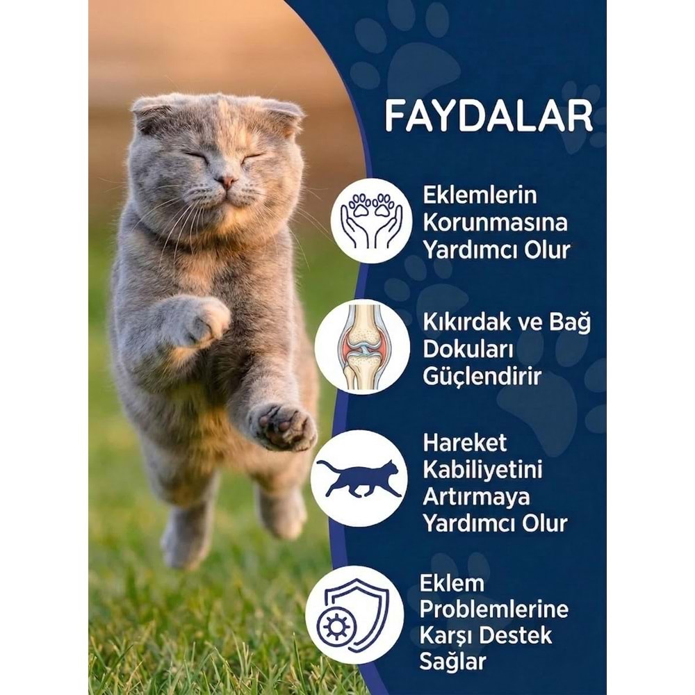 Kedi Eklem Damlası 50 ml – Sıvı Glukozamin, Kolajen ve MSM İçeren Destek ( Kediler için Eklem sağlığı)