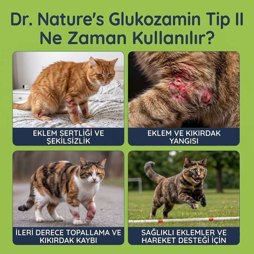 Kedi Eklem Damlası 50 ml – Sıvı Glukozamin, Kolajen ve MSM İçeren Destek ( Kediler için Eklem sağlığı)