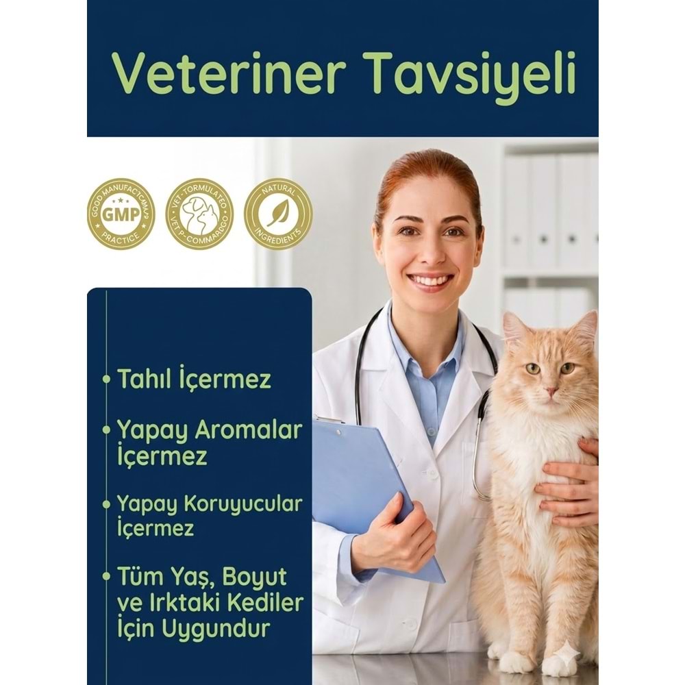 Kedi Eklem Damlası 50 ml – Sıvı Glukozamin, Kolajen ve MSM İçeren Destek ( Kediler için Eklem sağlığı)