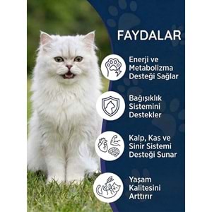 Kedi Multivitamin Likit 50 ml – Taurin ve Omega-3 İçeren Günlük Vitamin Desteği