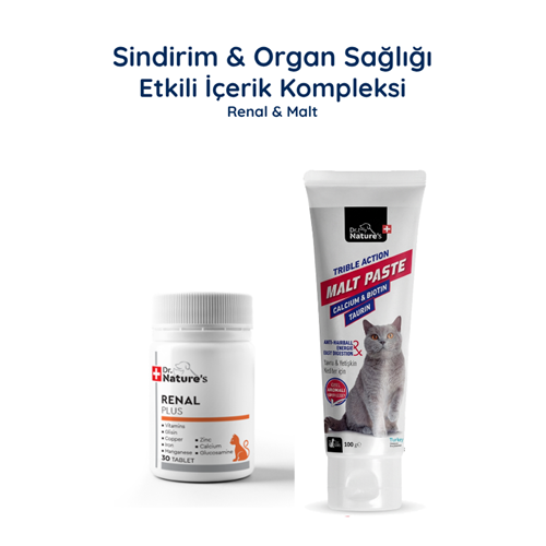 Kedi Malt Macun + Renal Böbrek Destek Paketi – Sindirim ve Üriner Sistem Desteği