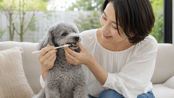 Köpeklerde Sağlıklı Kemik ve Diş Gelişimi Nasıl Desteklenir?