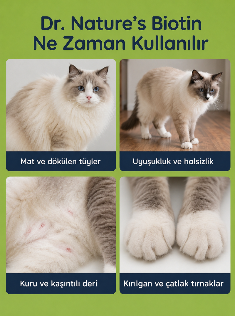 Kedi Biotin Maltı 100 gr