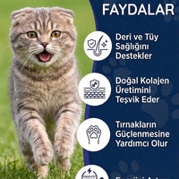 Kedi Tüy Damlası 50 ml