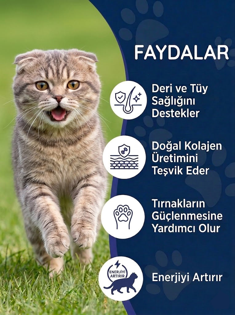 Kedi Tüy Damlası 50 ml