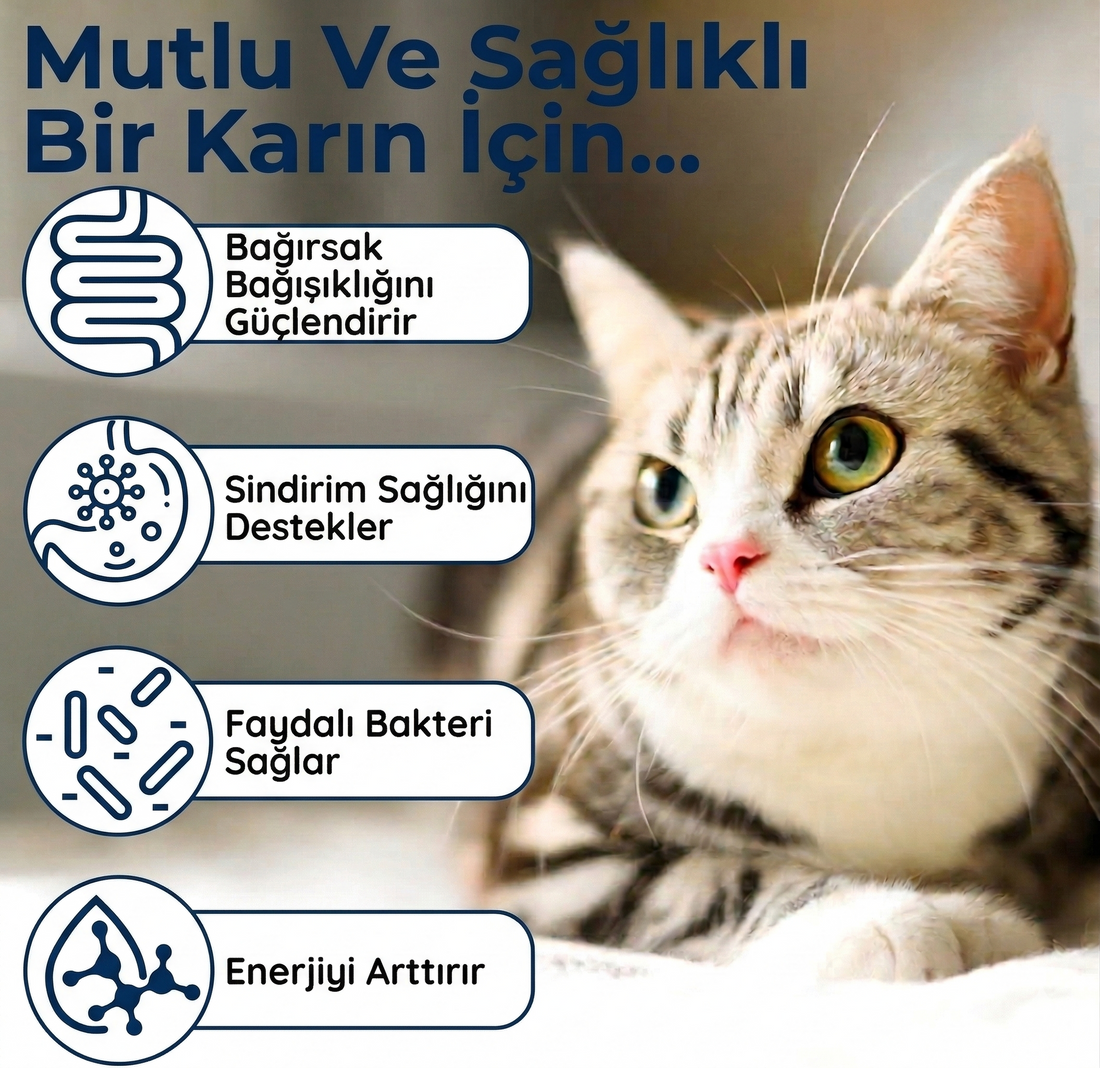 Kedi Probiyotik Damla 50 ml