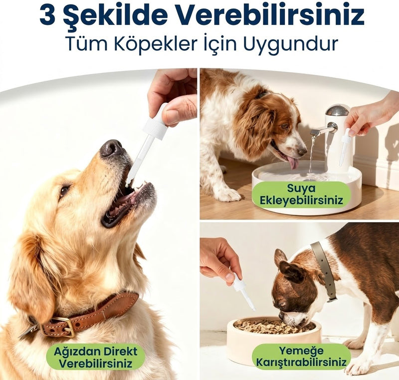 Köpek Multivitamin Damla 50 ml