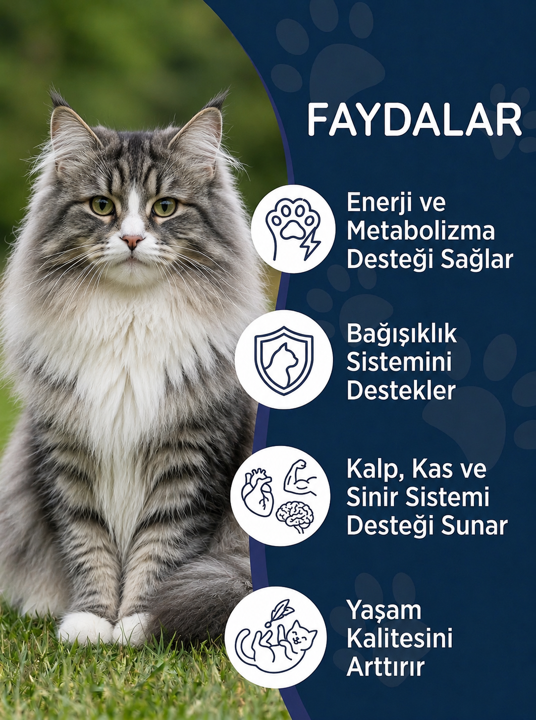 Kedi Multivitamin Maltı 100 gr