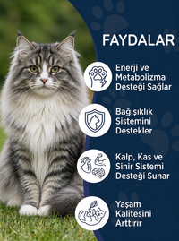 Kedi Multivitamin Maltı 100 gr