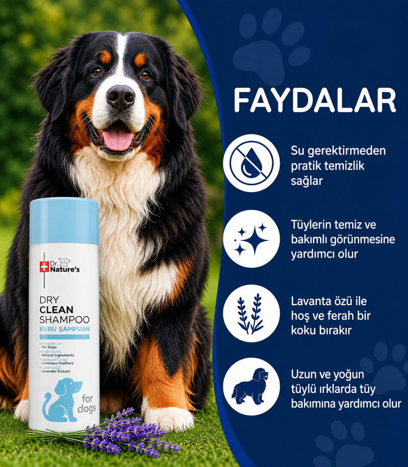 Köpek Kuru Şampuan