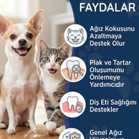 Kedi ve Köpek Diş Temizleme Damlası 50 ml