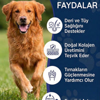 Köpek Tüy Damlası 50 ml
