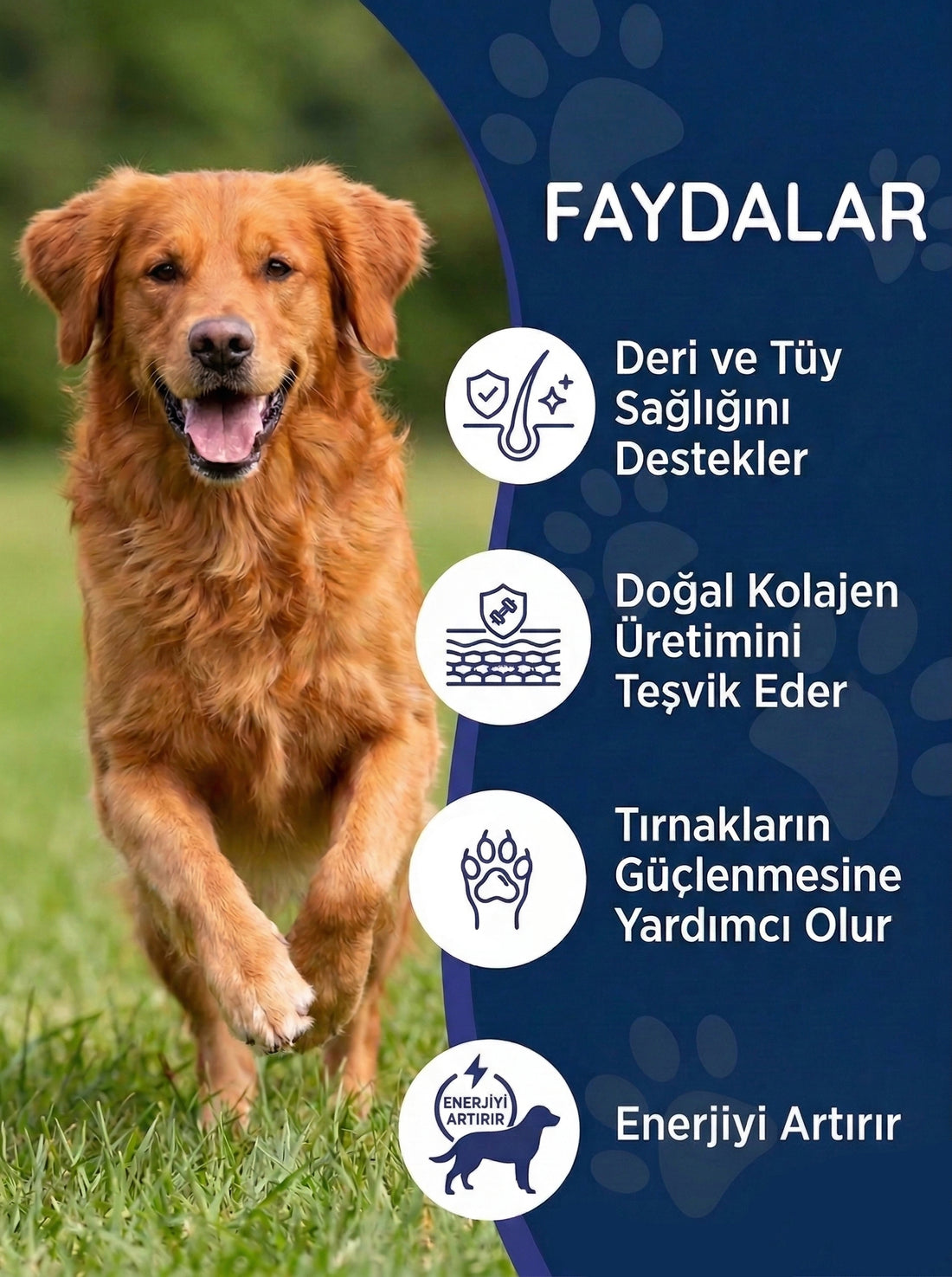 Köpek Tüy Damlası 50 ml