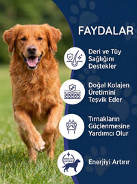 Köpek Tüy Damlası 50 ml
