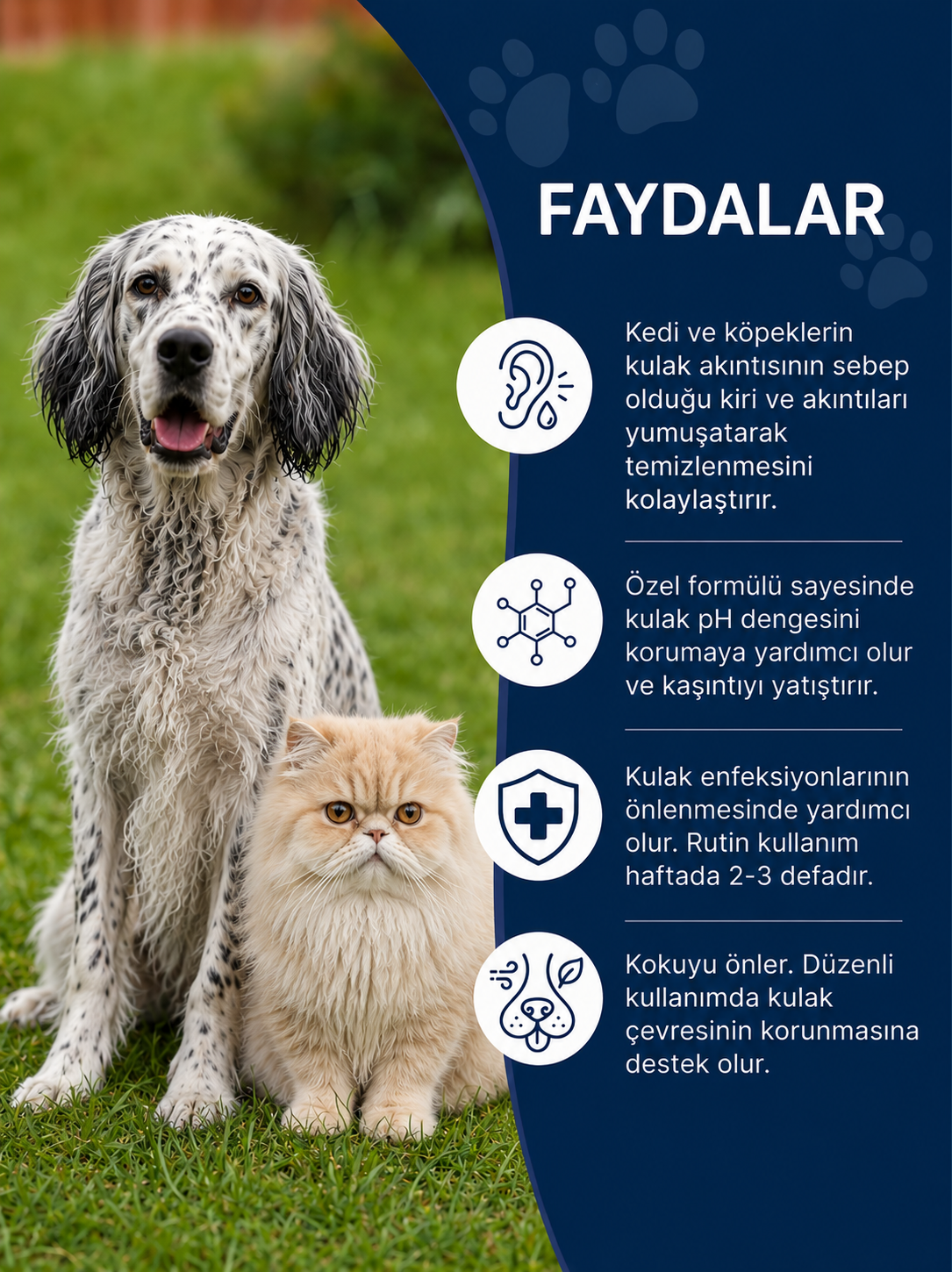 Kedi ve Köpekler İçin Kulak Temizleme Solüsyonu