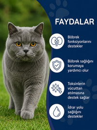 Kedi Renal Destek 30 Tablet