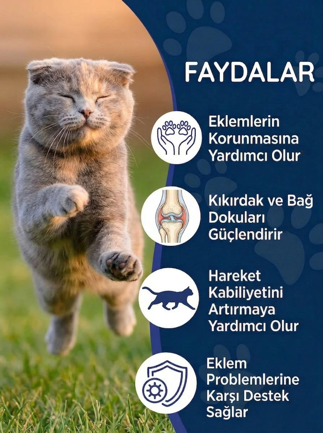 Kedi Eklem Damlası 50 ml