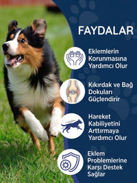 Köpek Eklem Damlası 50 ml