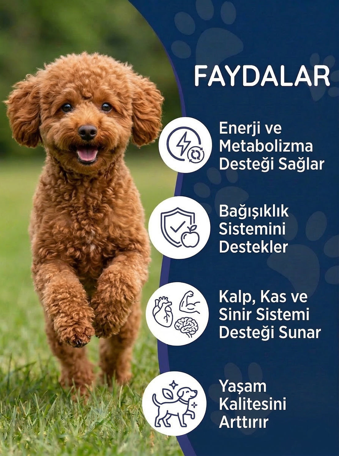 Köpek Multivitamin Damla 50 ml