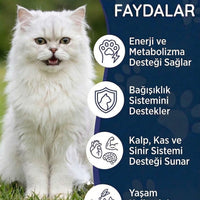 Kedi Multivitamin Damla 50 ml
