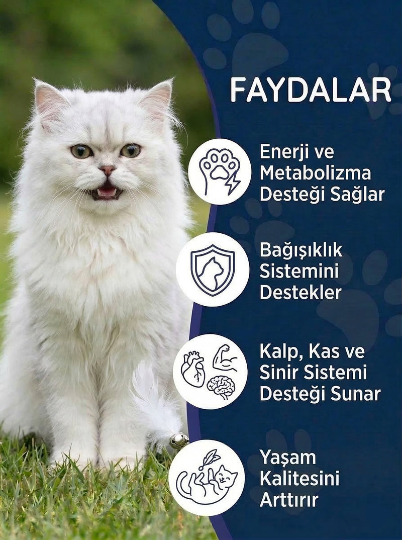Kedi Multivitamin Damla 50 ml
