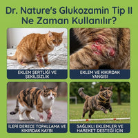 Kedi Eklem Damlası 50 ml
