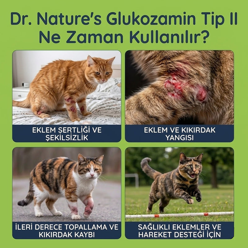 Kedi Eklem Damlası 50 ml