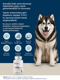Dog Immune