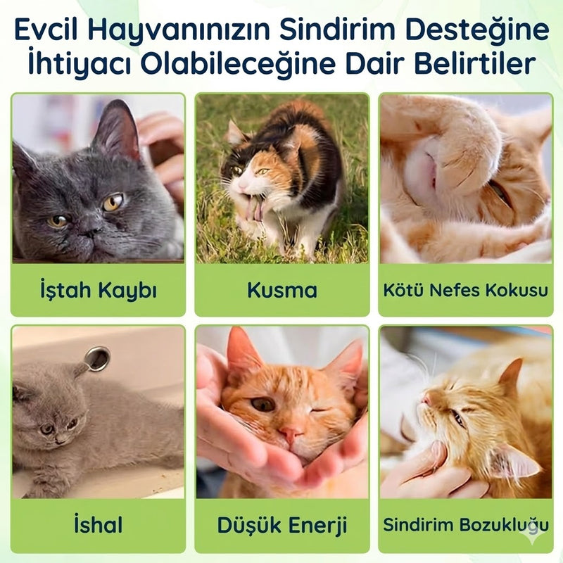 Kedi Probiyotik Damla 50 ml