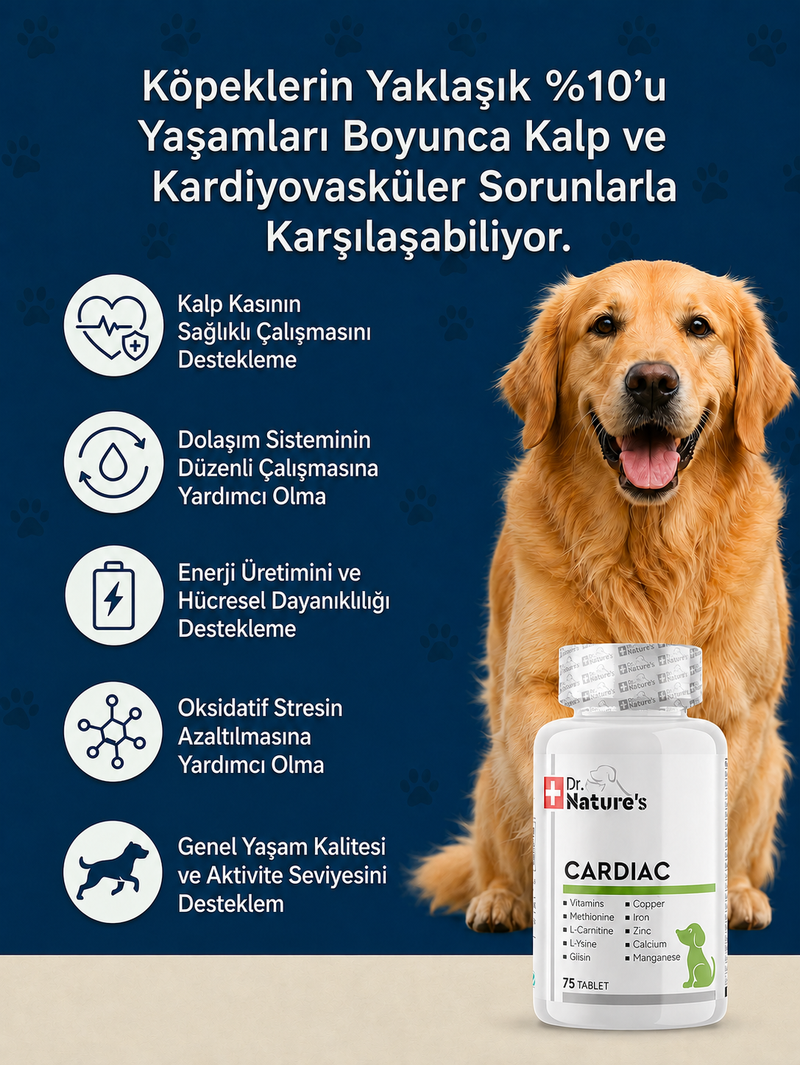 Köpek Cardiac Destek 75 Tablet