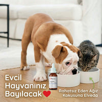 Kedi ve Köpek Diş Temizleme Damlası 50 ml