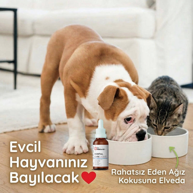 Kedi ve Köpek Diş Temizleme Damlası 50 ml