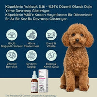 Köpek Multivitamin Damla 50 ml