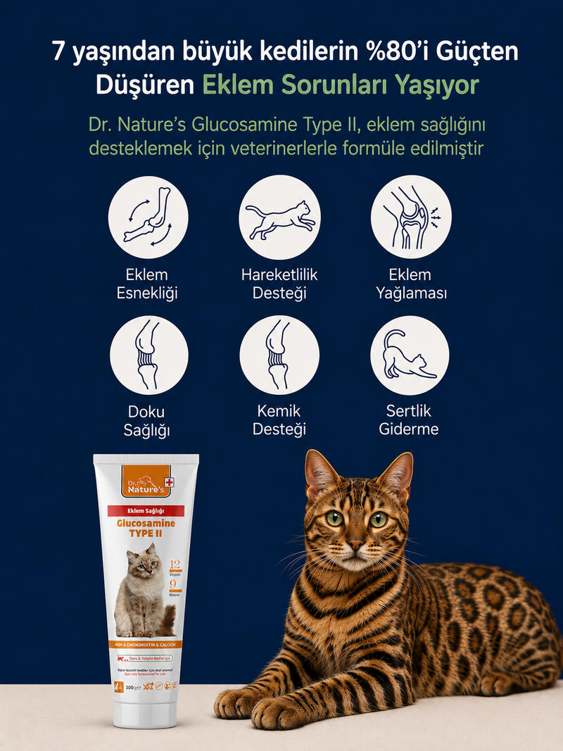 Kedi Glukozamin Maltı 100 gr