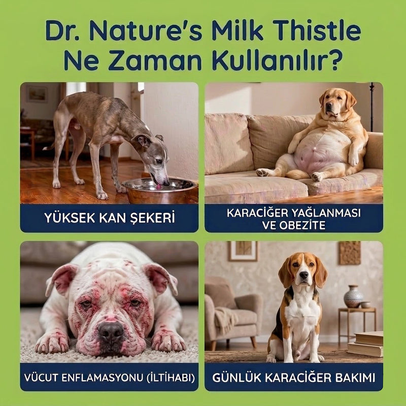 Köpek Milk Thistle (Devedikeni) Damla 50 ml