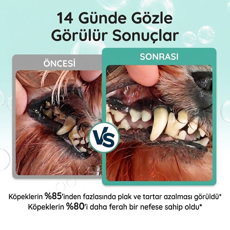 Kedi ve Köpek Diş Temizleme Damlası 50 ml