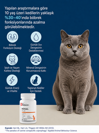 Kedi Renal Destek 30 Tablet