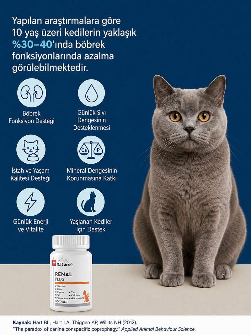 Kedi Renal Destek 30 Tablet