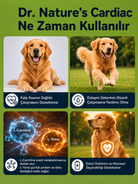 Köpek Cardiac Destek 75 Tablet
