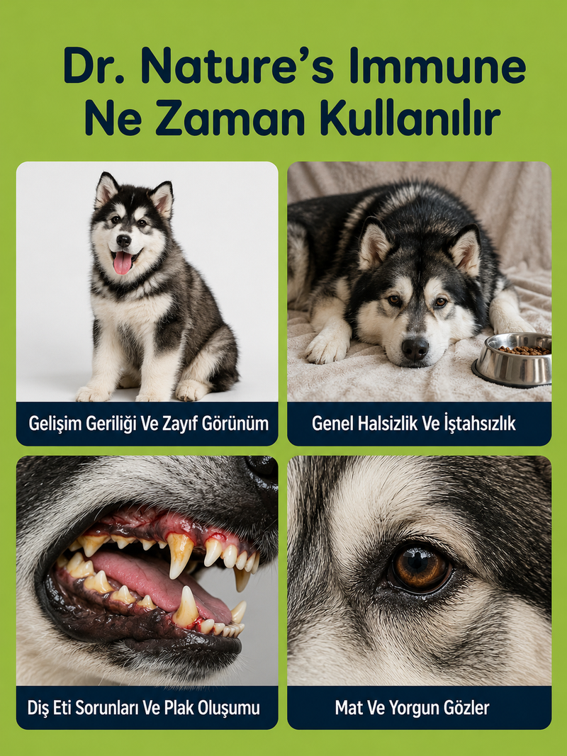 Dog Immune
