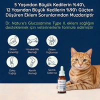 Kedi Eklem Damlası 50 ml