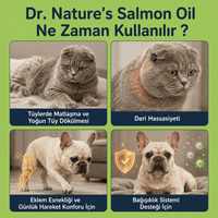 Kedi Maltı ve Somon Yağı Seti – 2 Adet Malt Macunu + 1 Adet Omega 3 Somon Yağı