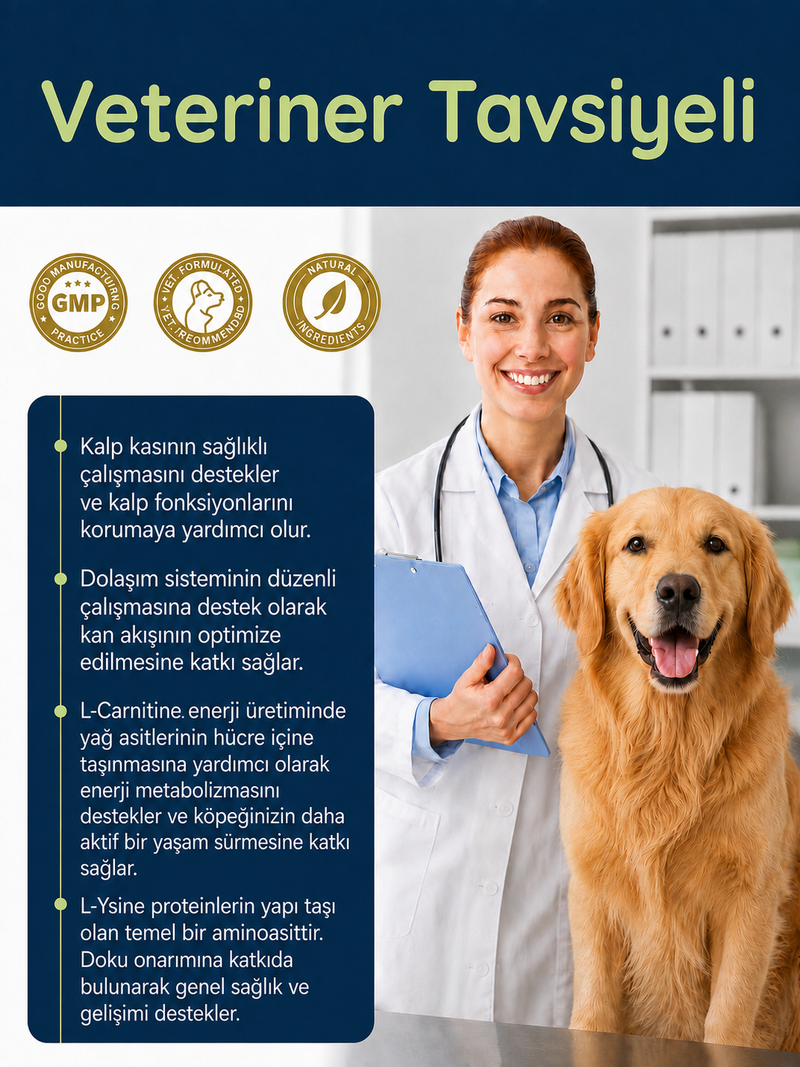 Köpek Cardiac Destek 75 Tablet