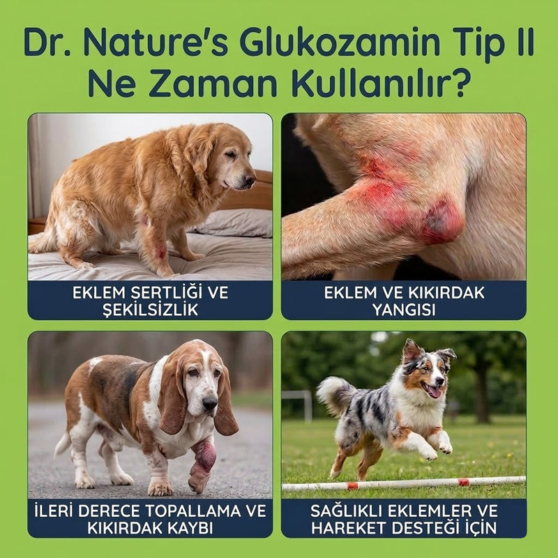 Köpek Eklem Damlası 50 ml