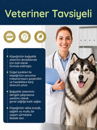 Dog Immune