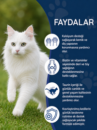 Kısırlaştırılmış Kedi Maltı 100 gr