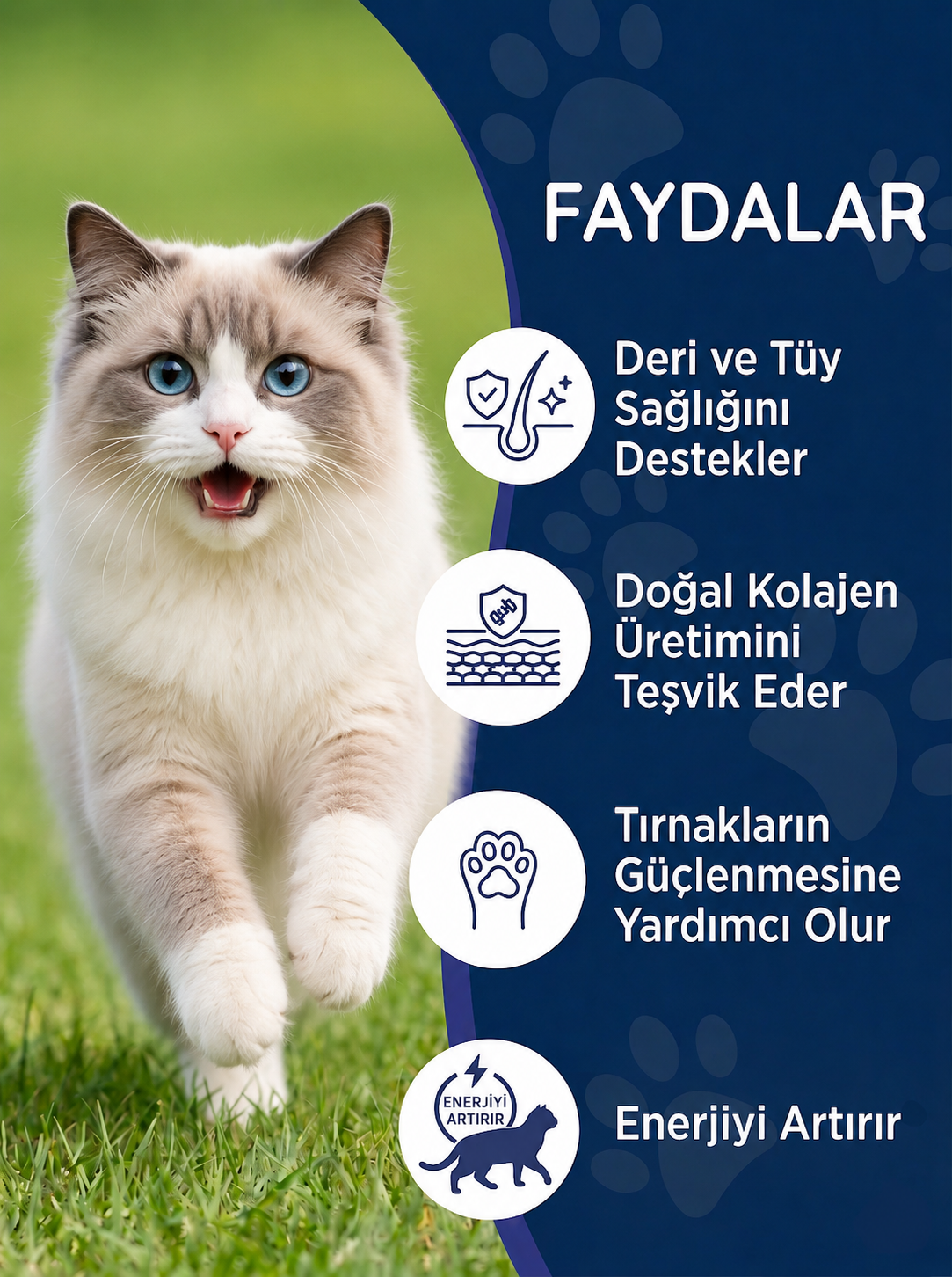 Kedi Biotin Maltı 100 gr