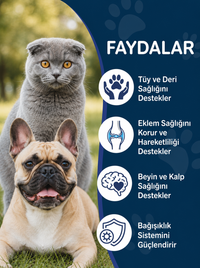 Kedi ve Köpek Omega 3 Somon Yağı 150 ml